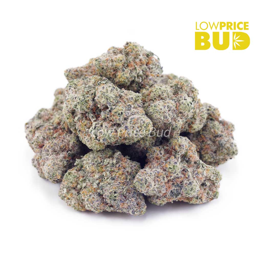 Buy Bacio Gelato (Craft Cannabis) online Canada