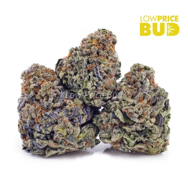 Buy Creamsicles (AAAA) online Canada