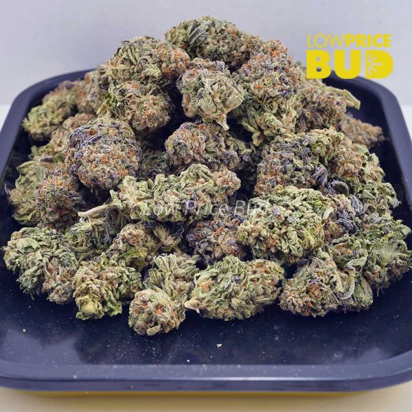 Buy Creamsicles (AAAA) online Canada