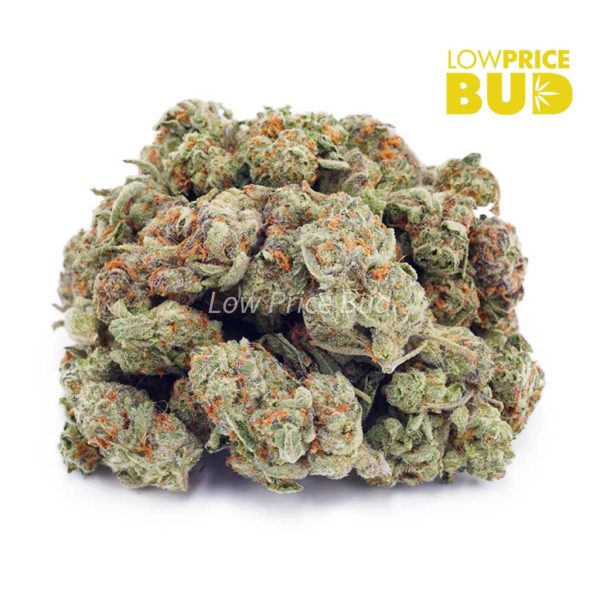 Buy Gorilla Breath (AAAA) – Popcorn Nugs online Canada