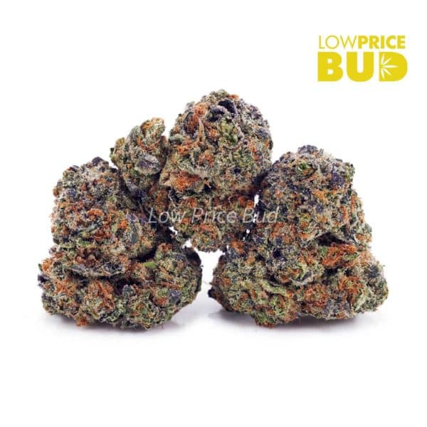 Buy Runtz (AA) online Canada
