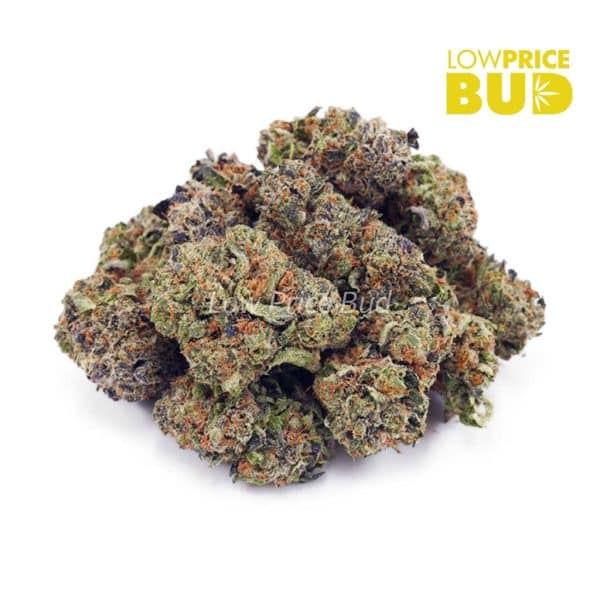 Buy Runtz (AA) online Canada