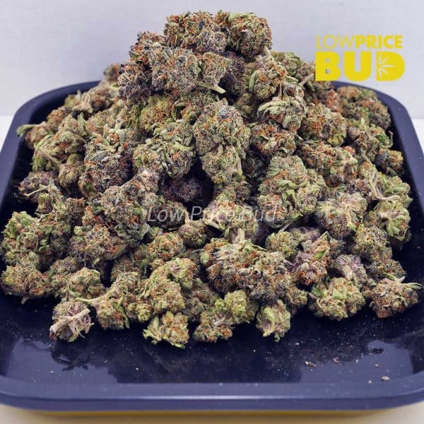 Buy Runtz (AA) online Canada