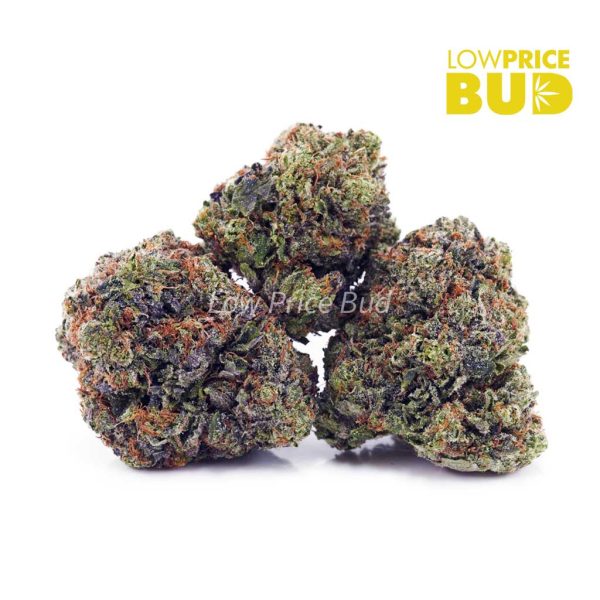 Buy Supreme Octane (Craft Cannabis) online Canada