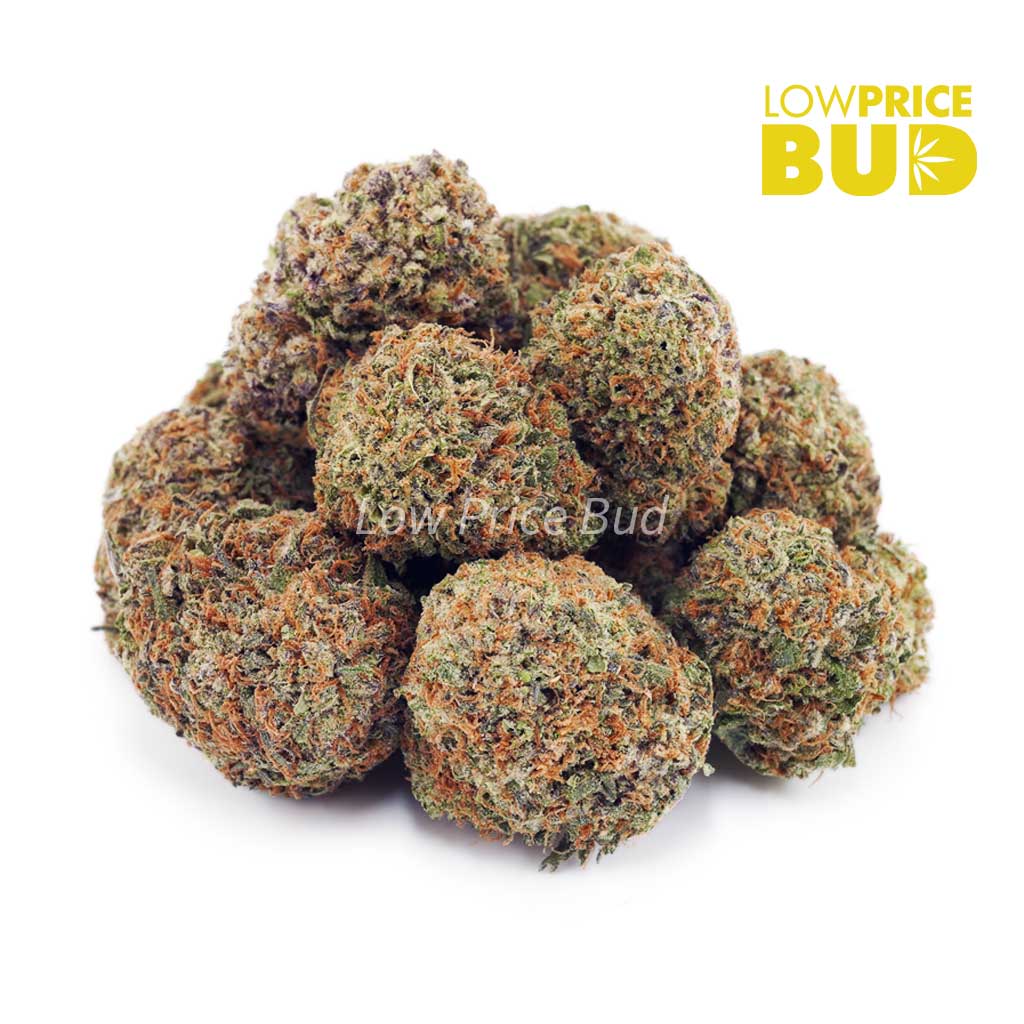 Buy Hindu Kush (AAAA) online Canada