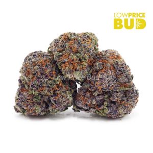 Buy Build Your Own (AAAA) Pound 16 x 28g online Canada
