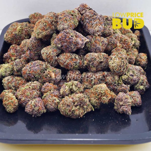Buy Dragon Fruit (AAAA) online Canada