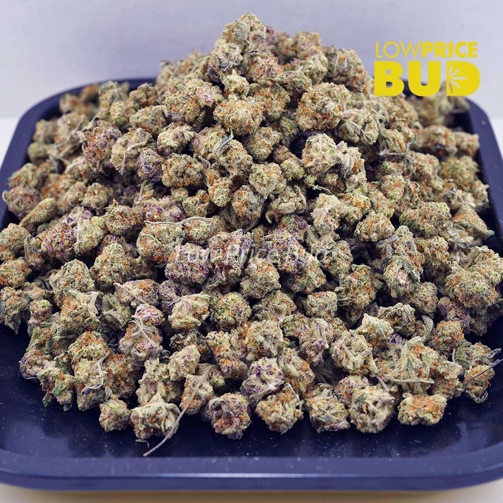 Buy Funky Charmz (AAAA) – Popcorn Nugs online Canada