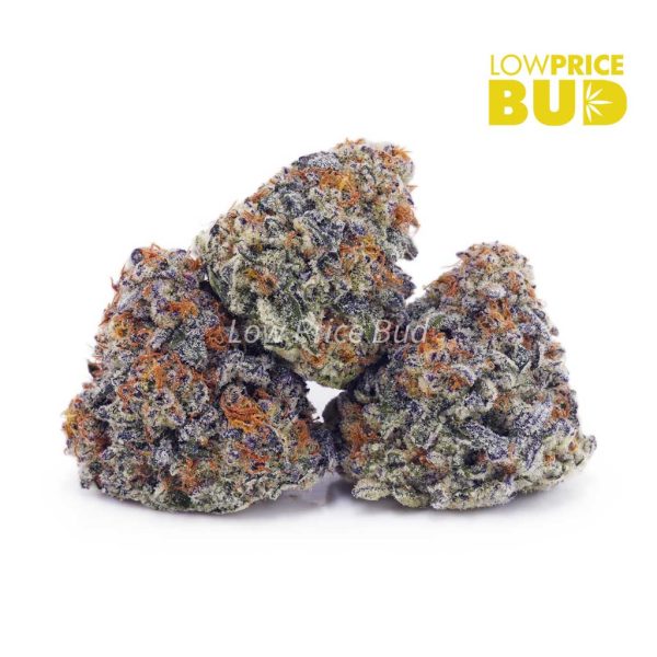 Buy Super Skunk (AAA) online Canada