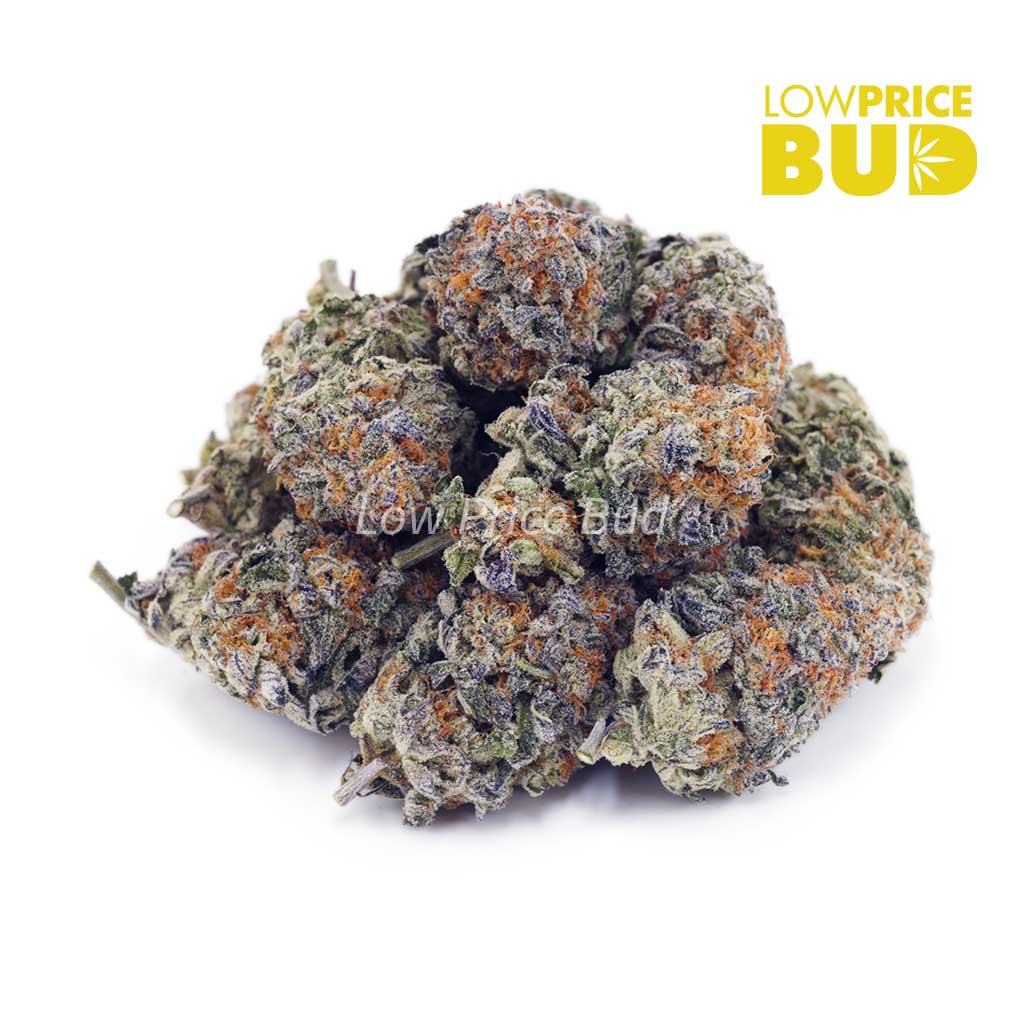 Buy Super Skunk (AAA) online Canada