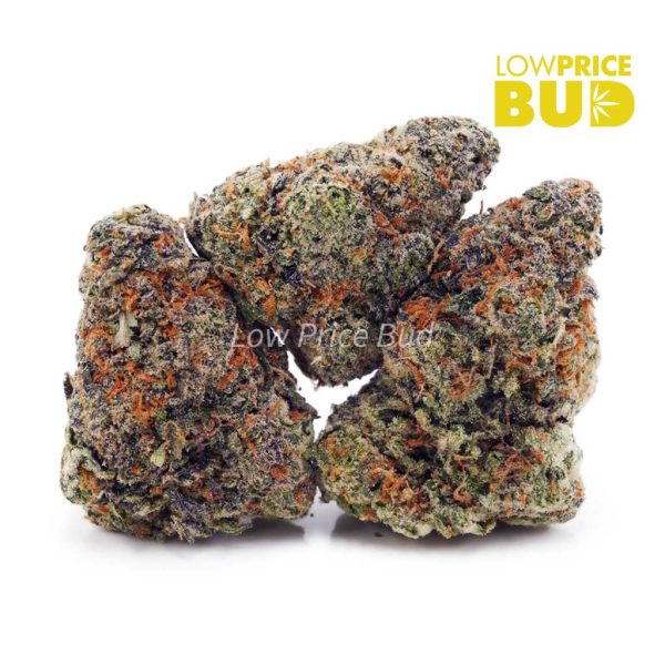Buy Hawaiian Snow (AAA) online Canada