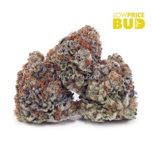 Buy Build Your Own (AAAA) Pound 16 x 28g online Canada