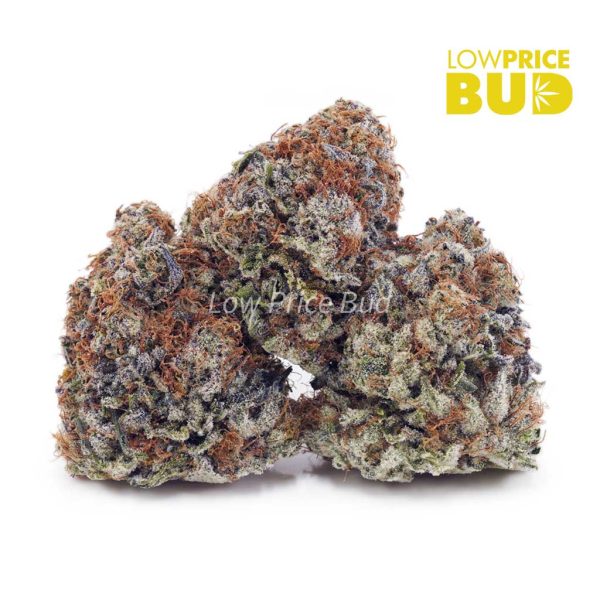 Buy Watermelon Kush (AAAA) online Canada