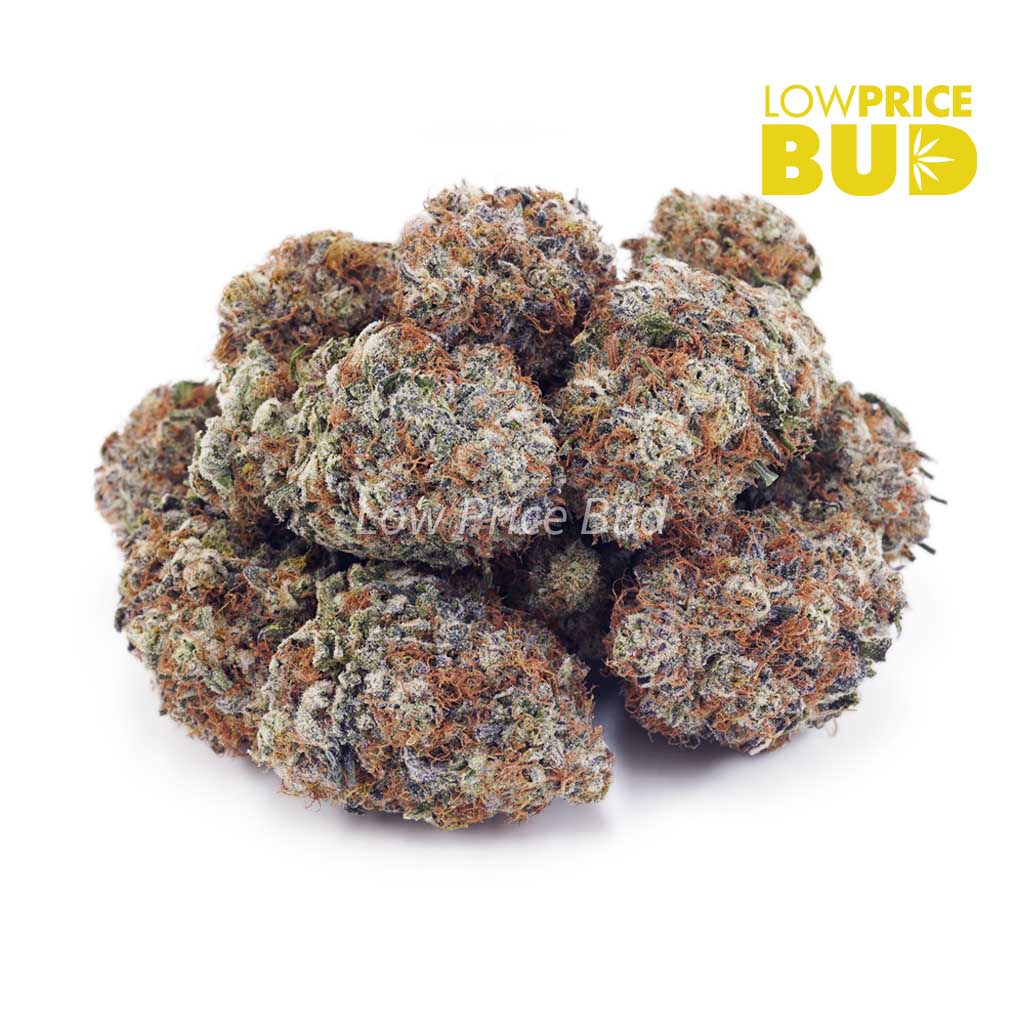 Buy Watermelon Kush (AAAA) online Canada