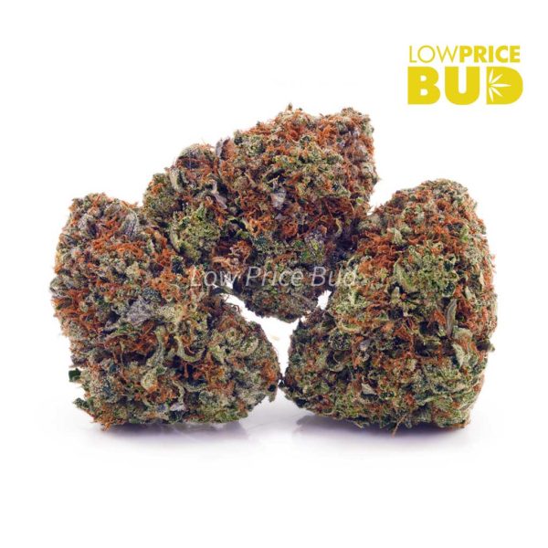 Buy Nirvana (AAA) online Canada