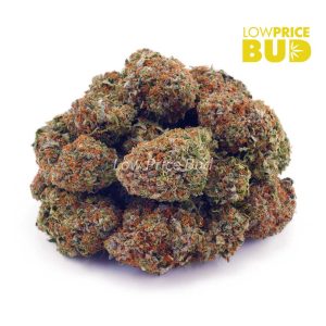 Buy Nirvana (AAA) online Canada