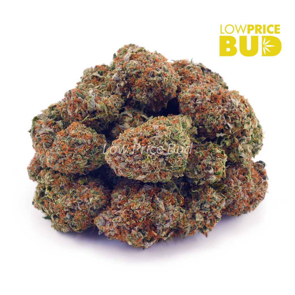 Buy Nirvana (AAA) online Canada