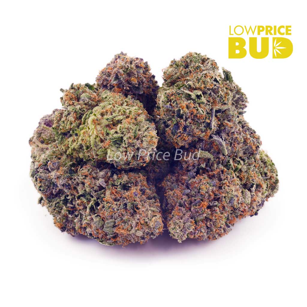 Buy Durban Poison (AAA) online Canada