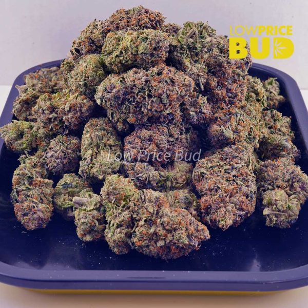 Buy Durban Poison (AAA) online Canada