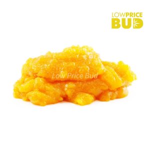 Buy Build Your Own Concentrate Oz 28 x 1g online Canada
