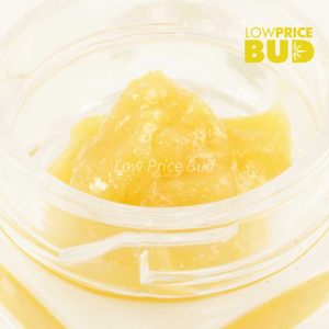 Buy Live Resin – Mike Tyson online Canada