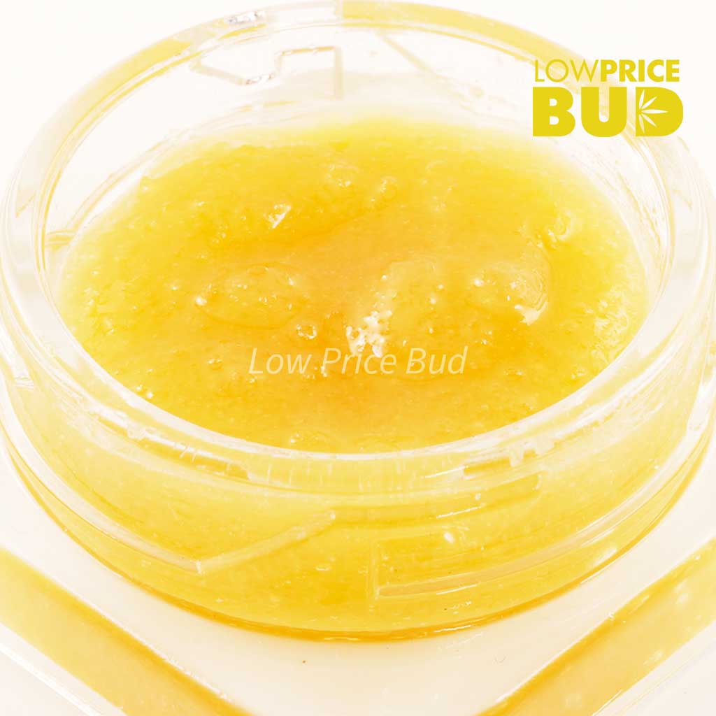 Buy Caviar – Bubba Kush online Canada