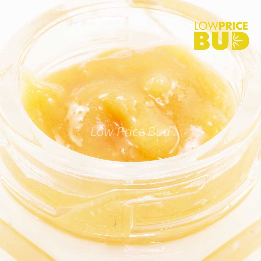 Buy Caviar – Bubblegum Kush online Canada