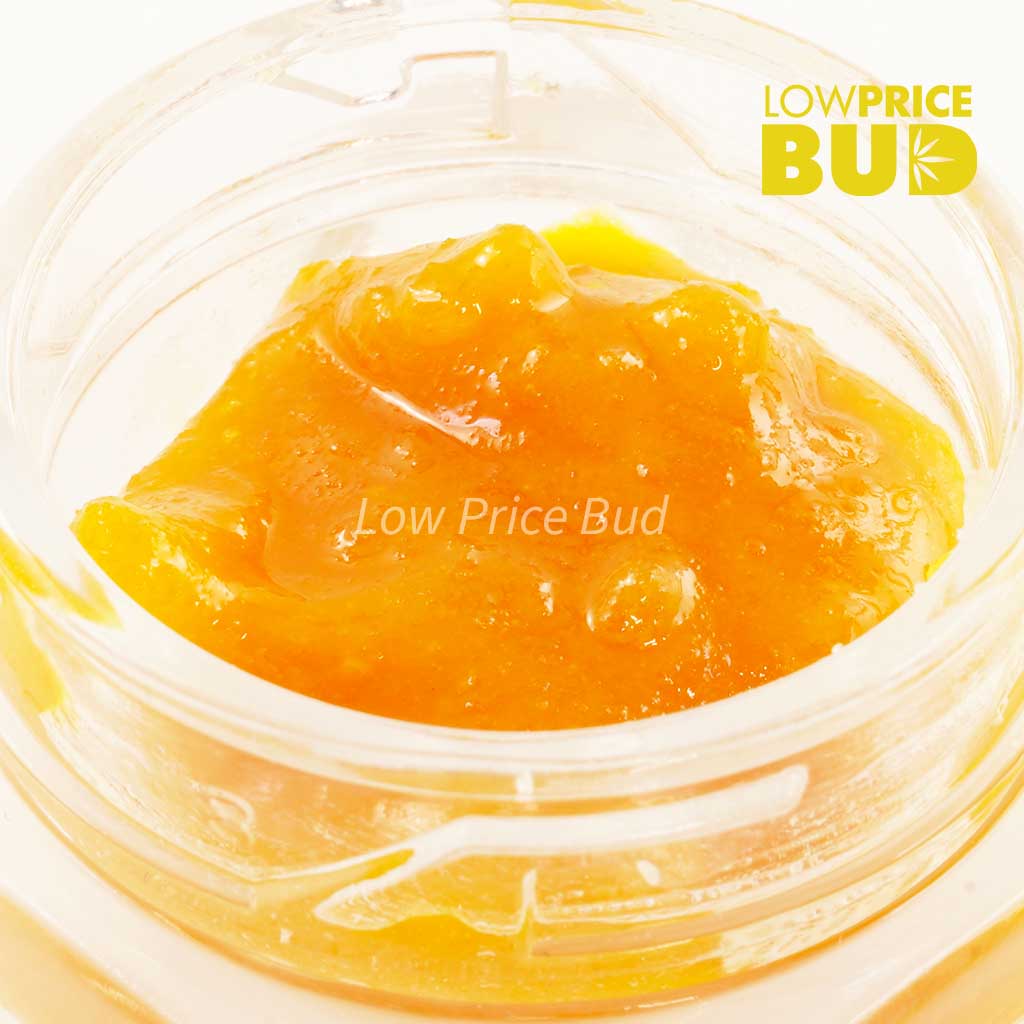 Buy Caviar – Cotton Candy Kush online Canada