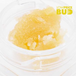 Buy Caviar – Platinum Bubba online Canada