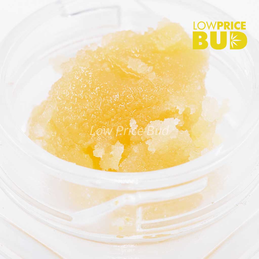 Buy Caviar – Platinum Bubba online Canada