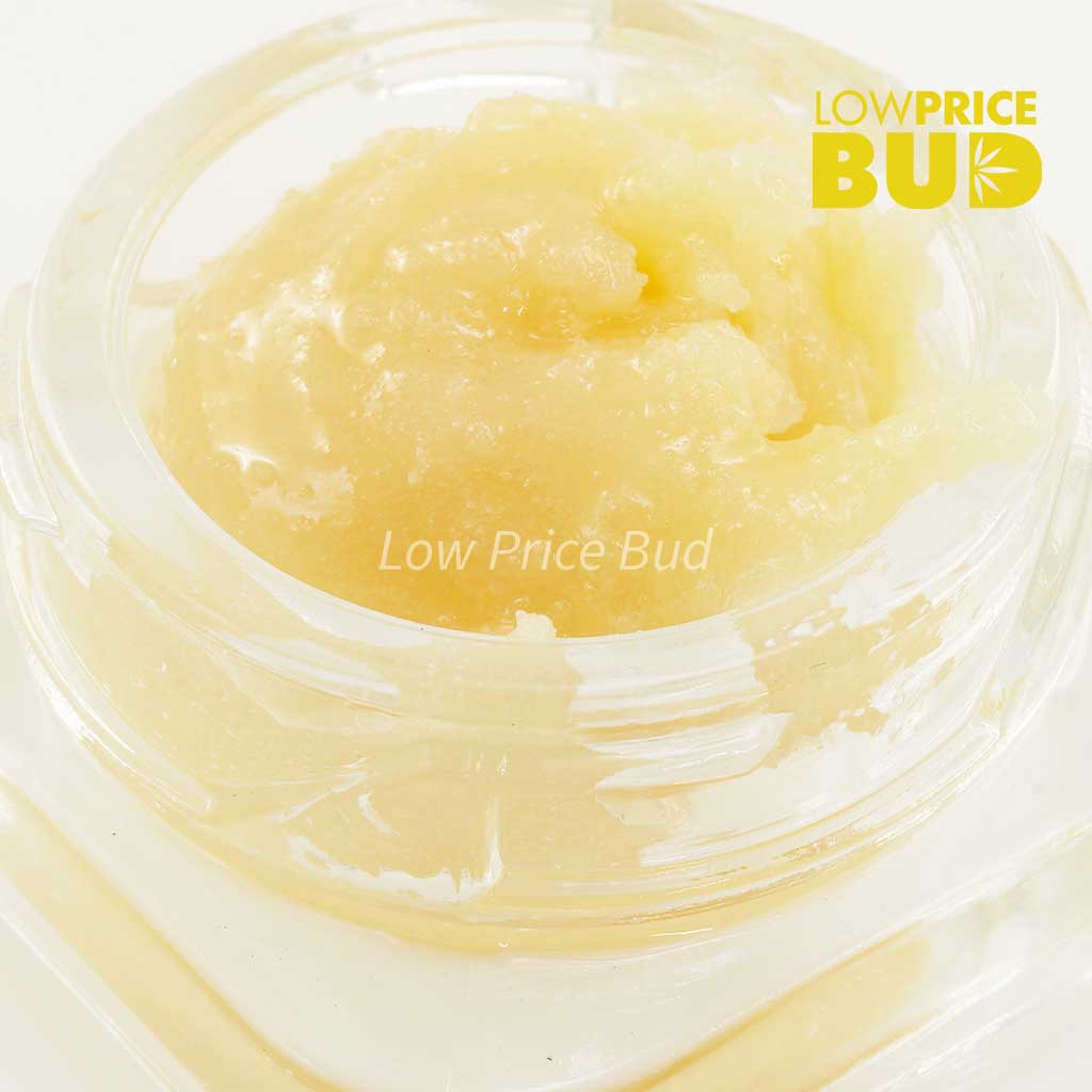 Buy Caviar – Platinum Pink online Canada
