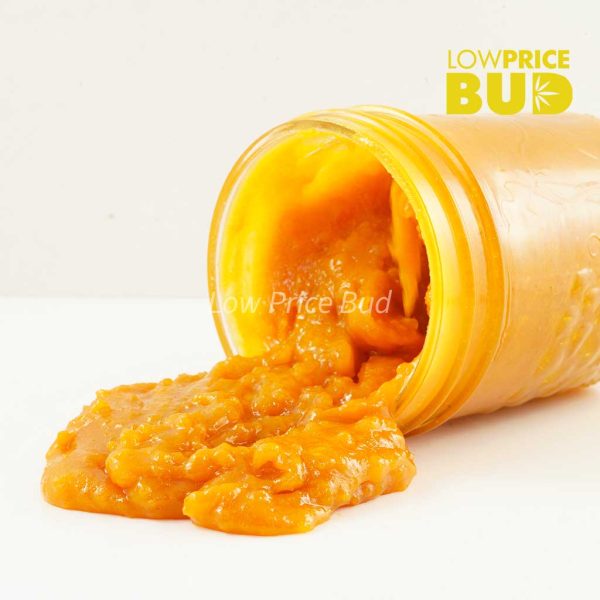 Buy Caviar – Cotton Candy Kush online Canada