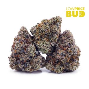 Buy Build Your Own (Craft Cannabis) 7g online Canada