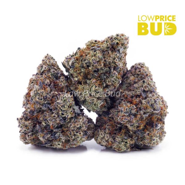 Buy Island Pink Kush (Craft Cannabis) online Canada