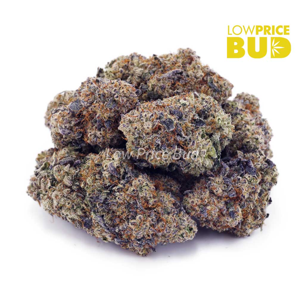 Buy Island Pink Kush (Craft Cannabis) online Canada