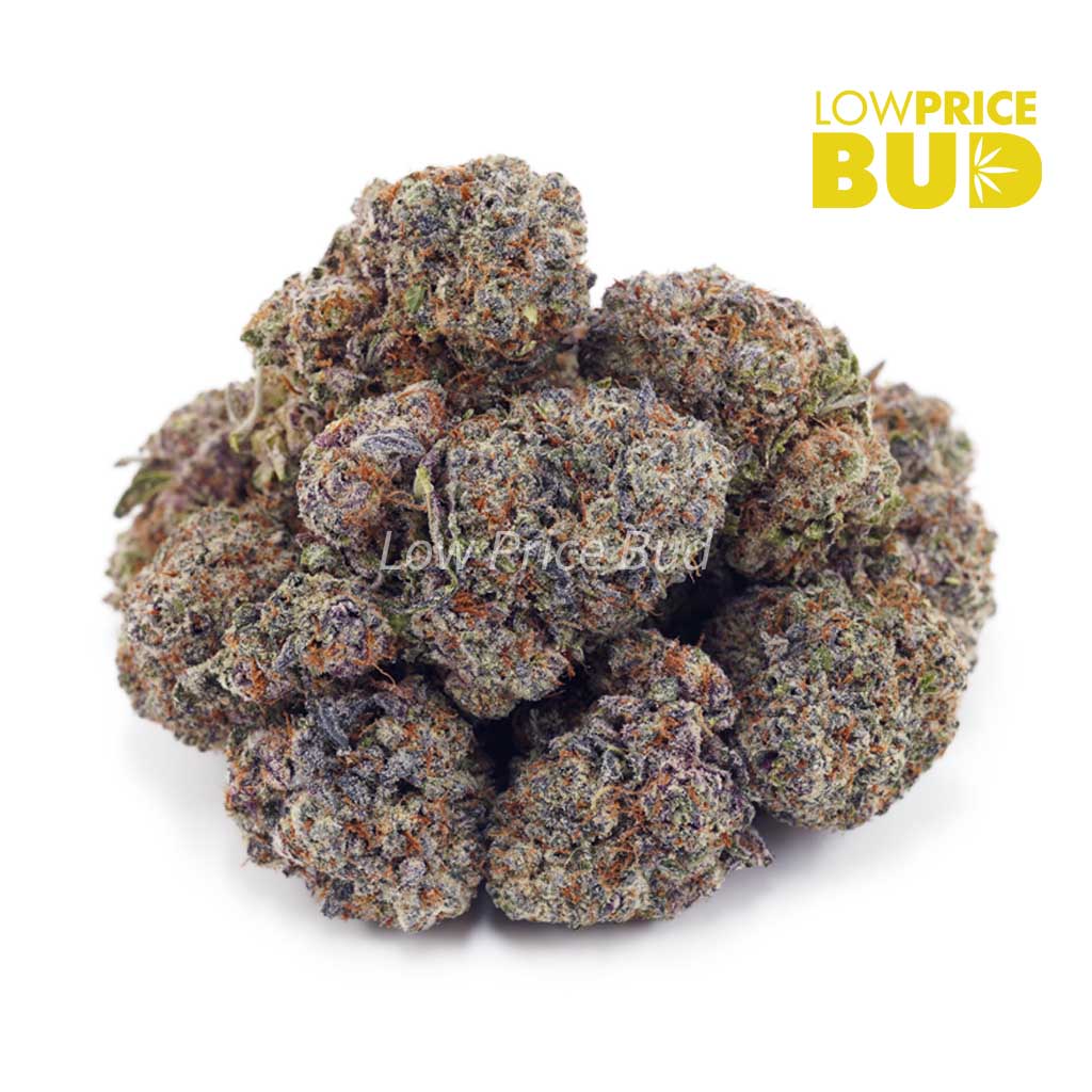 Buy Grease Monkey (AAA) online Canada