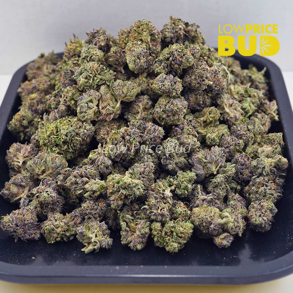 Buy Skywalker OG (AAAA) – Popcorn Nugs online Canada