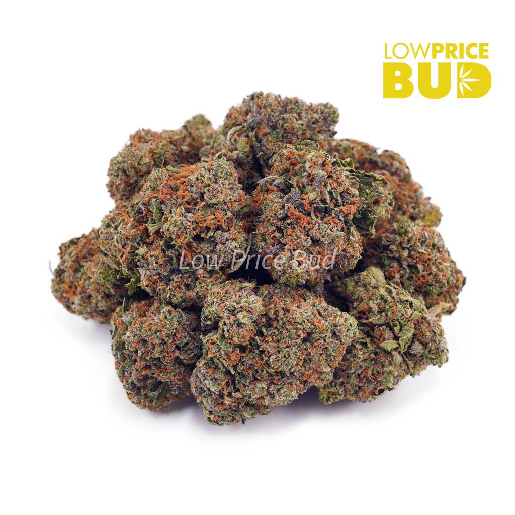 Buy White Widow (AAA) online Canada