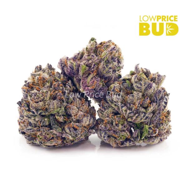 Buy Grape Pie (AAA) online Canada
