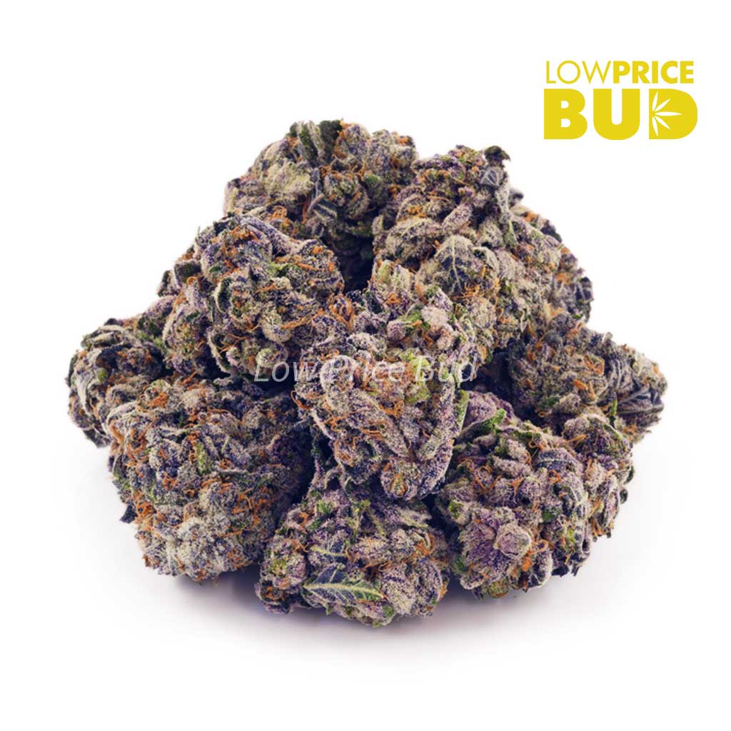 Buy Grape Pie (AAA) online Canada