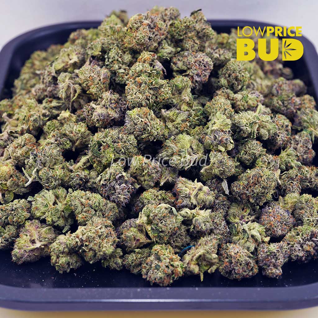 Buy Pink Bubba (AAAA) – Popcorn Nugs online Canada