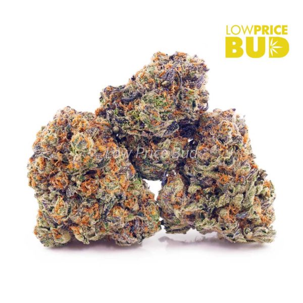 Buy Durban Poison (AAA) online Canada