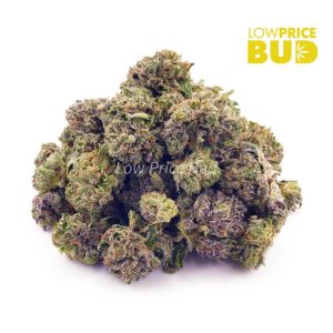 Buy Jean Guy (AAAA) – Popcorn Nugs online Canada