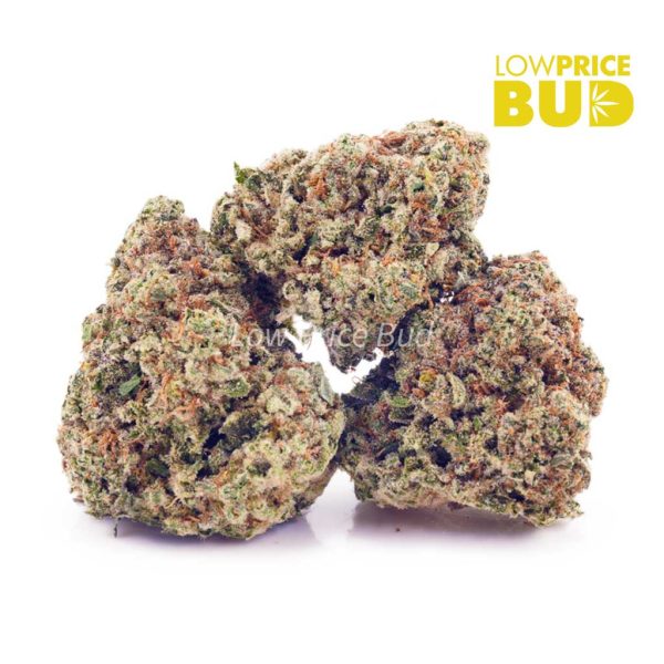 Buy Blue Dream (AAA) online Canada