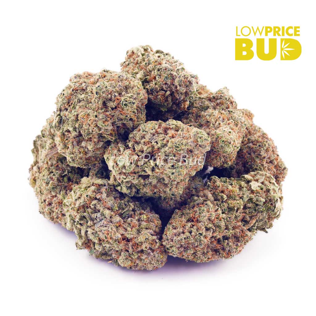 Buy Blue Dream (AAA) online Canada