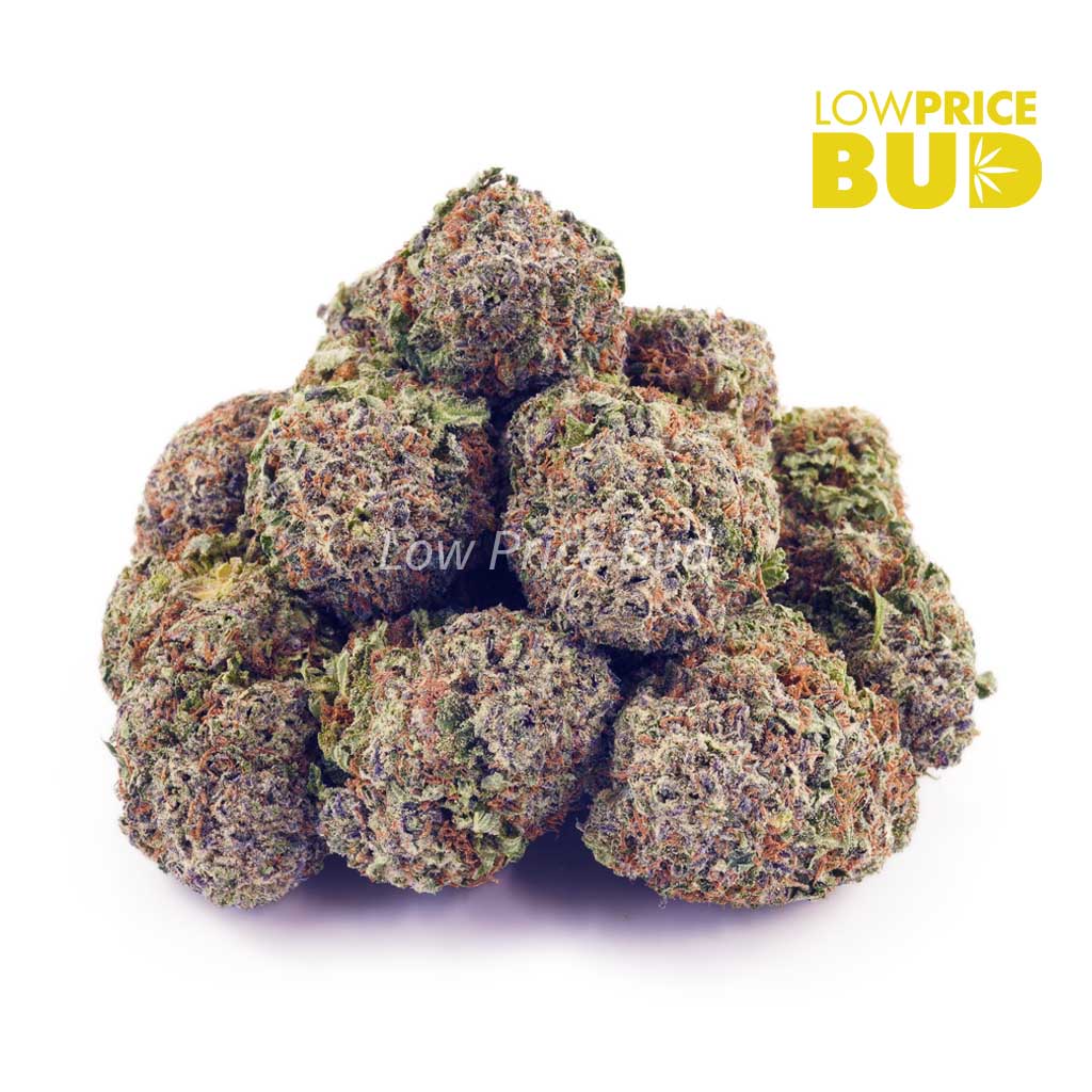 Buy Platinum Kush (AAA) online Canada