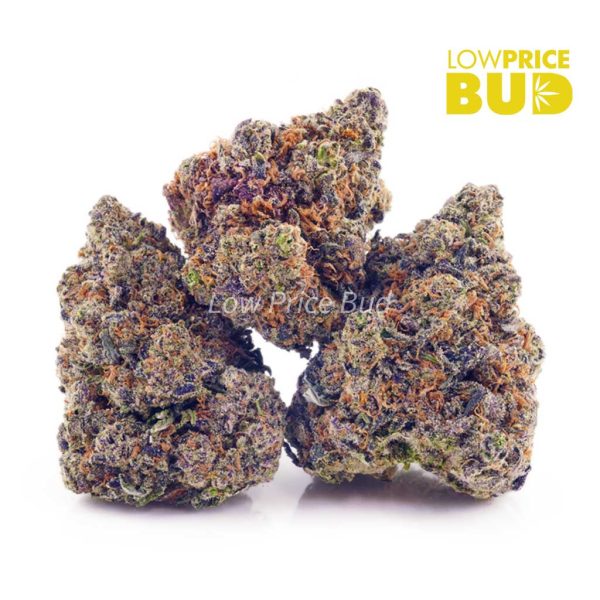 Buy Strawberry Cheesecake (AAA) online Canada
