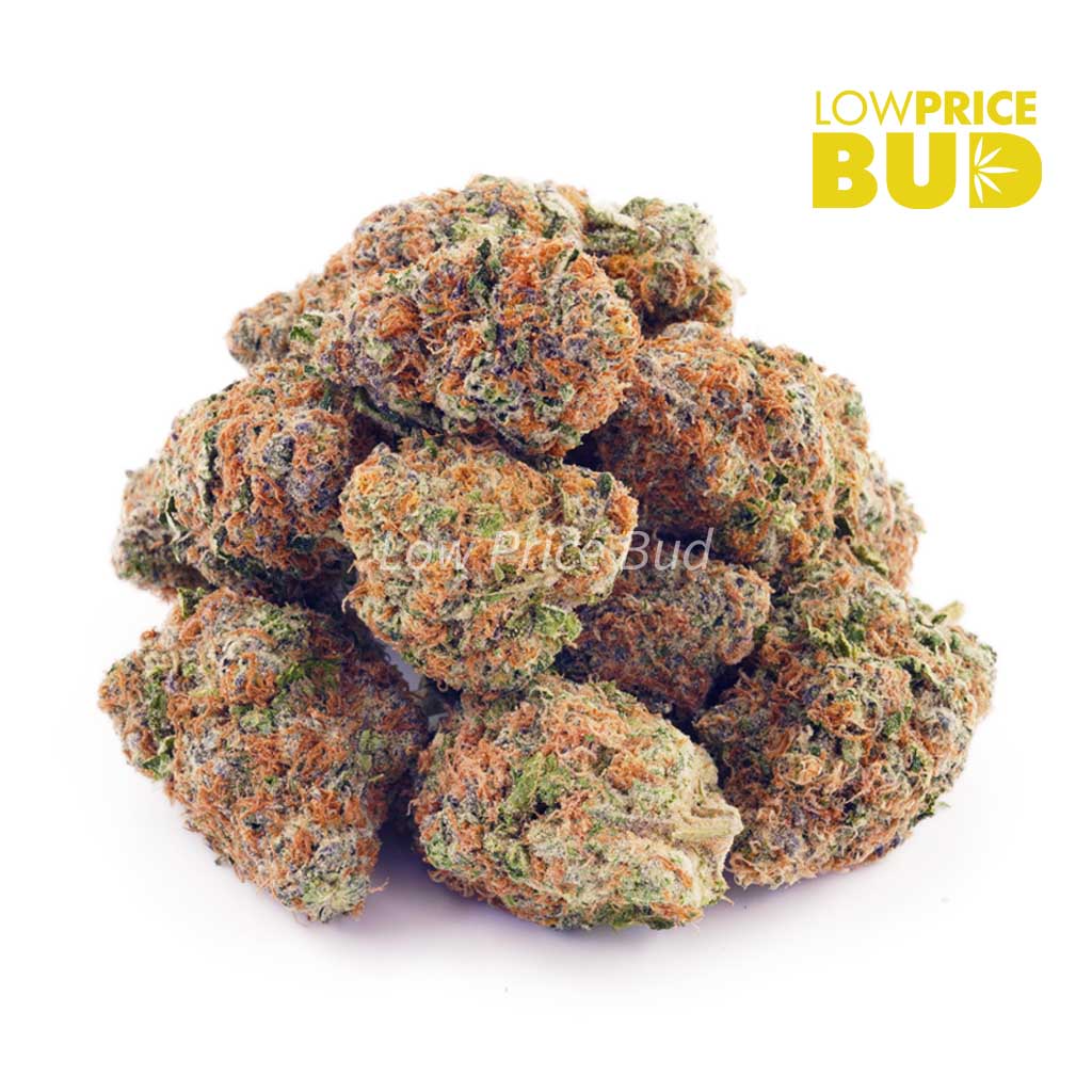 Buy King Louis XIII (AAA) online Canada