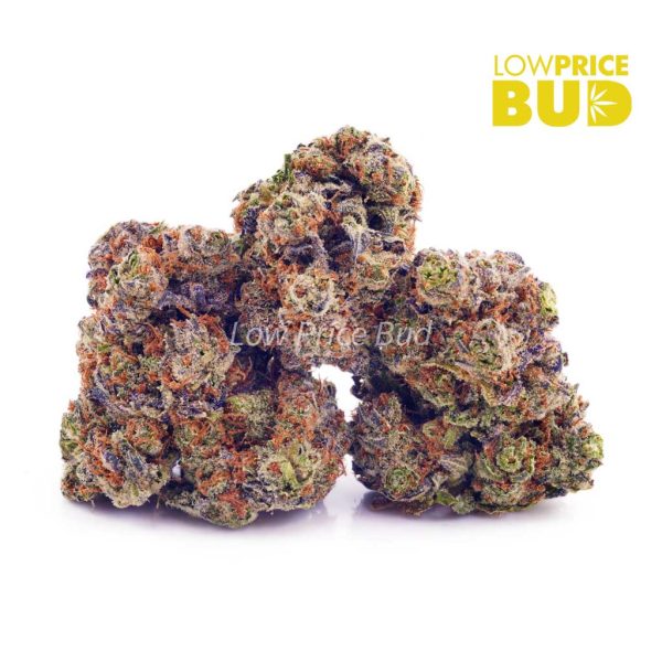 Buy Blueberry Kush (AAA) online Canada
