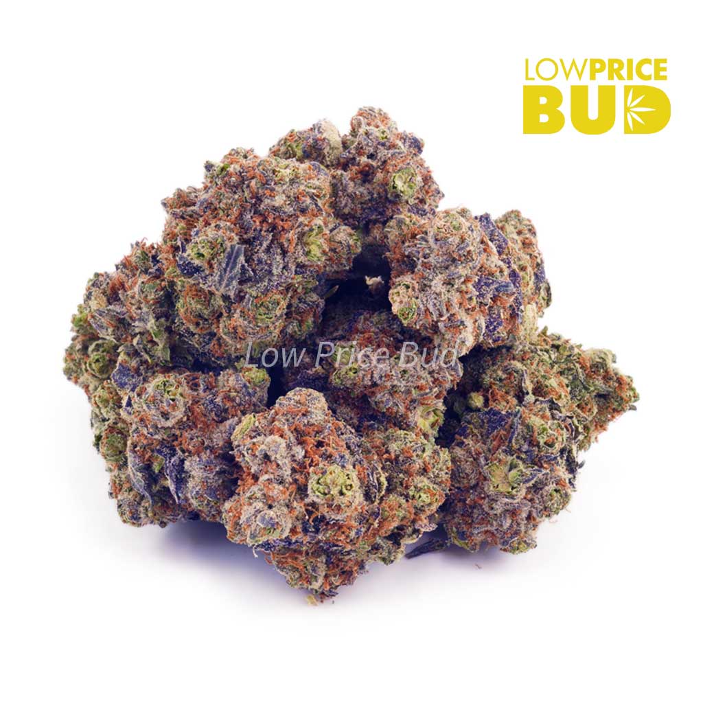 Buy Blueberry Kush (AAA) online Canada